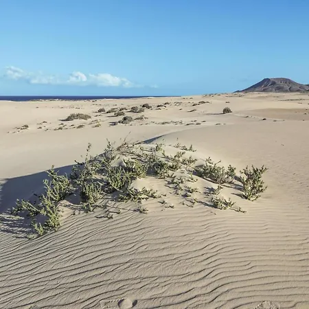 Casa Das Cores Holiday home Corralejo